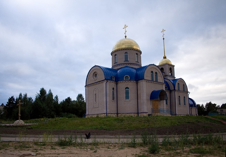 Церковь Рождества Иоанна Предтечи в Сосновке, Боровичи (Боровичский район, Новгородская область). общий вид в ландшафте