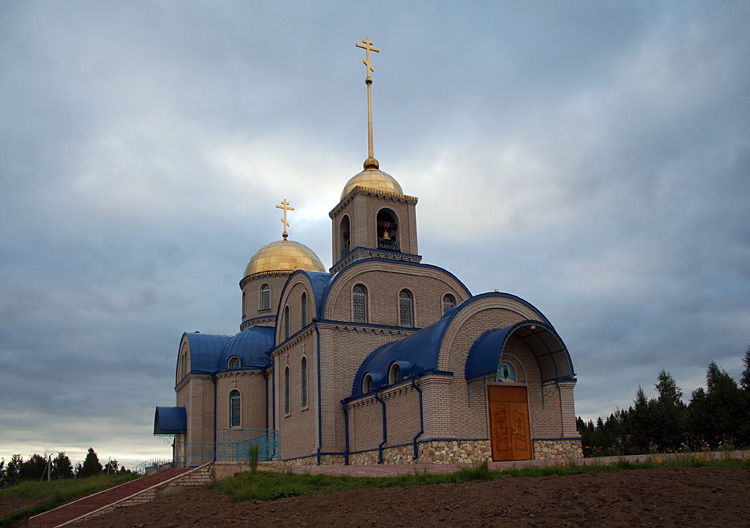 Церковь Рождества Иоанна Предтечи в Сосновке, Боровичи (Боровичский район, Новгородская область). общий вид в ландшафте