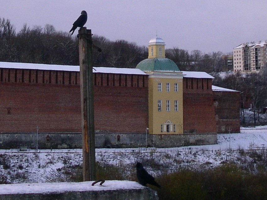 Смоленск. Церковь Тихона Задонского. общий вид в ландшафте, вид с северо-востока
