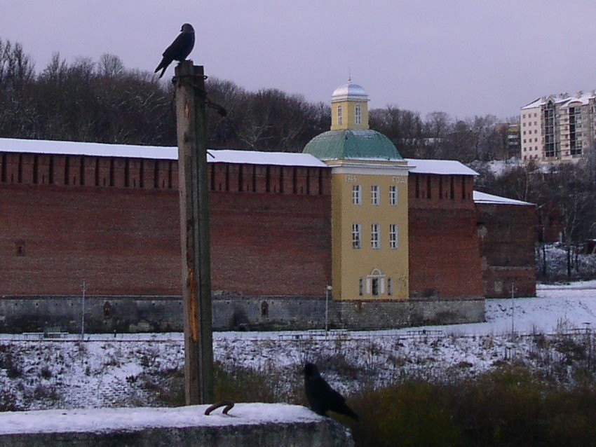 Церковь Тихона Задонского, Смоленск (Смоленск, город, Смоленская область). общий вид в ландшафте, вид с северо-востока
