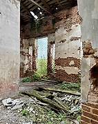Церковь Спаса Нерукотворного Образа - Малая Якшень - Шатковский район - Нижегородская область