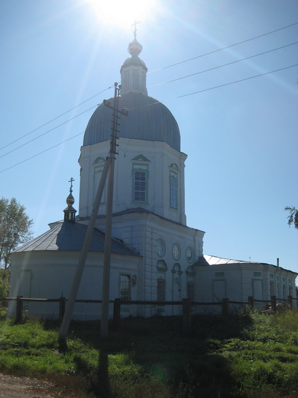 Шарапово. Церковь Троицы Живоначальной. общий вид в ландшафте, Вид с востока