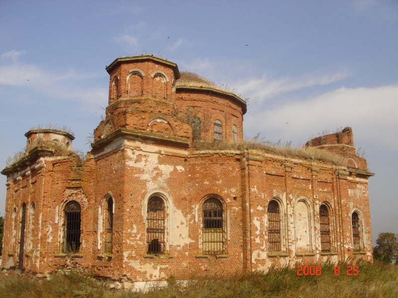 Церковь Троицы Живоначальной, Троице-Орловка (Скопинский район и г. Скопин, Рязанская область). фасады