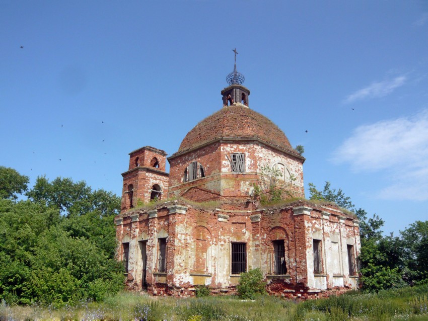 Церковь Воскресения Христова, Нагиши (Скопинский район и г. Скопин, Рязанская область). общий вид в ландшафте