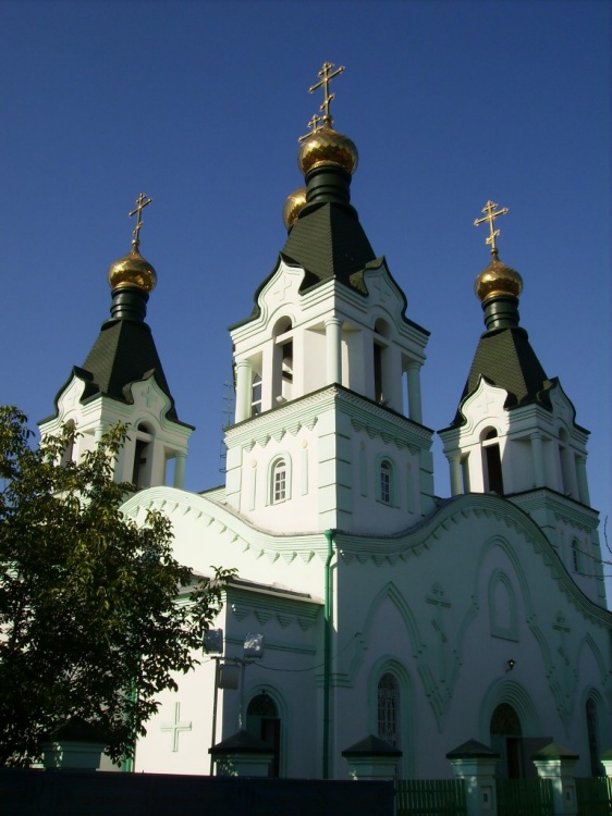 Церковь Троицы Живоначальной, Ростов-на-Дону (Ростов-на-Дону, город, Ростовская область). общий вид в ландшафте