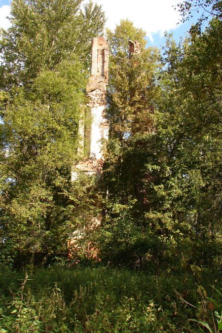 Покровское- на-Ухре, урочище. Церковь Покрова Пресвятой Богородицы. фасады, Развалины колокольни