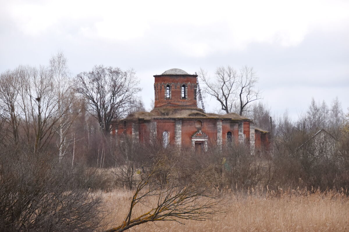 Церковь Воскресения Словущего (Обновления храма Воскресения Христова), Старое Зимино (Захаровский район, Рязанская область). общий вид в ландшафте, Вид на храм из усадебного парка