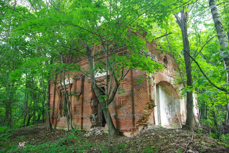 Церковь Владимирской иконы Божией Матери, быв. Богородице-Владимирской женской пустыни, Липово (Щёкинский район, Тульская область). фасады