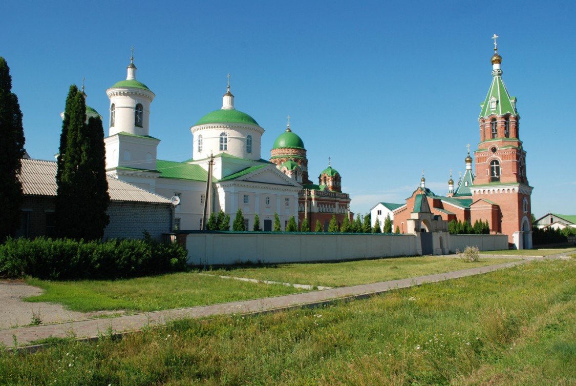Троекуровский Дмитриевский Иларионовский женский монастырь, Троекурово (Лебедянский район, Липецкая область). общий вид в ландшафте