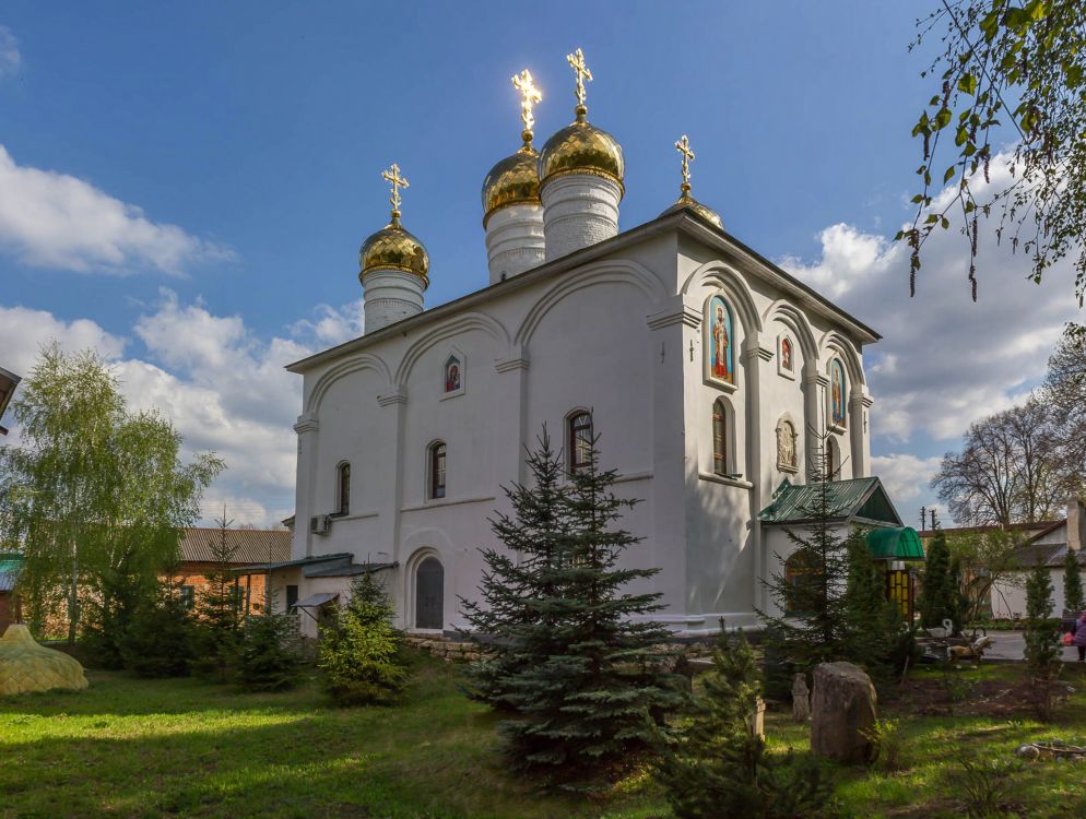 Лебедянь. Троицкий монастырь. Собор Троицы Живоначальной. фасады, Вид с северо-запада