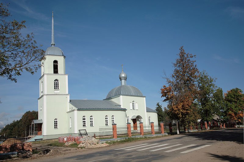 Церковь Космы и Дамиана, Думиничи (Думиничский район, Калужская область). общий вид в ландшафте
