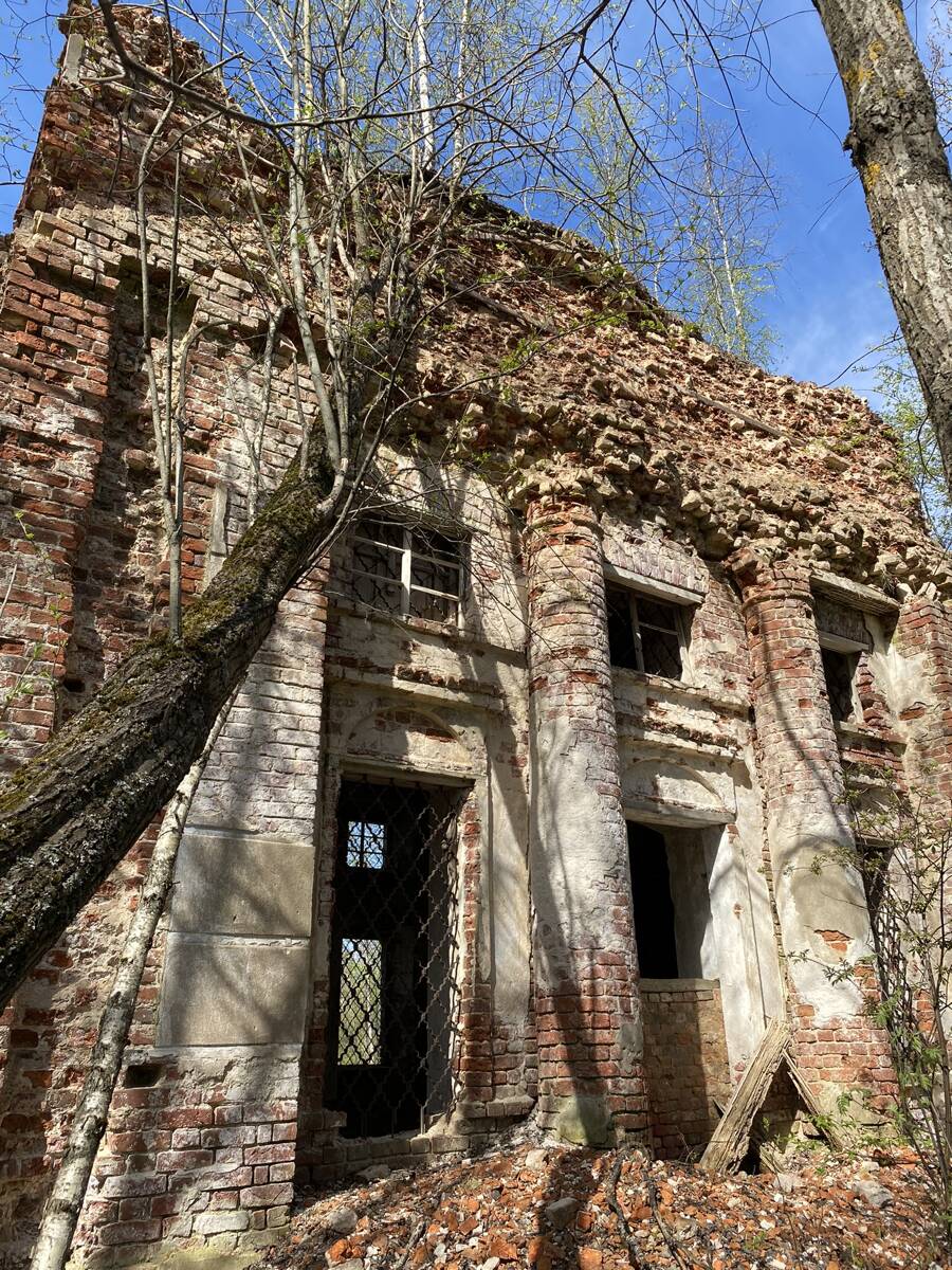 Церковь Николая Чудотворца (Иоанна Богослова), Мушино (Удомельский городской округ, Тверская область). архитектурные детали
