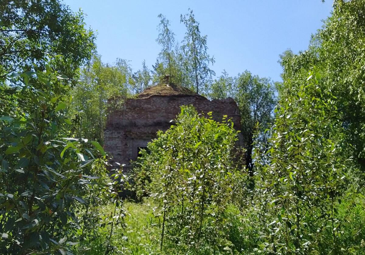 Церковь Николая Чудотворца (Иоанна Богослова), Мушино (Удомельский городской округ, Тверская область). общий вид в ландшафте, Состояние летом 2024 года