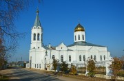 Церковь Спаса Преображения - Солнечный - Вышневолоцкий район и г. Вышний Волочёк - Тверская область