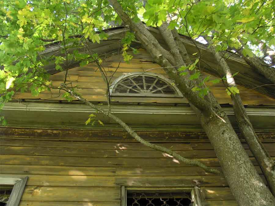 Церковь Успения Пресвятой Богородицы, Новое (Новосокольнический район, Псковская область). архитектурные детали, Фальш окно в стиле ампир на южном фасаде трапезной