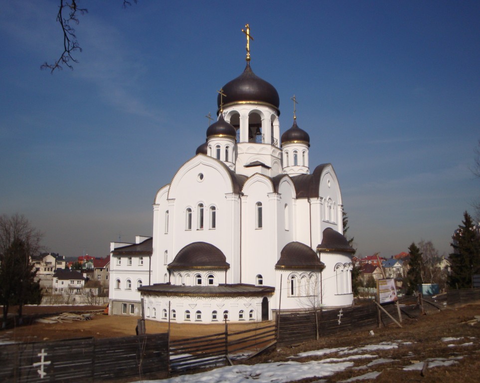 Воскресенское. Церковь Воскресения Христова. общий вид в ландшафте, Воскресенское. Церковь Воскресения Христова