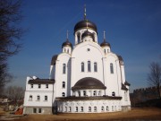 Церковь Воскресения Христова - Воскресенское - Новомосковский административный округ (НАО) - г. Москва