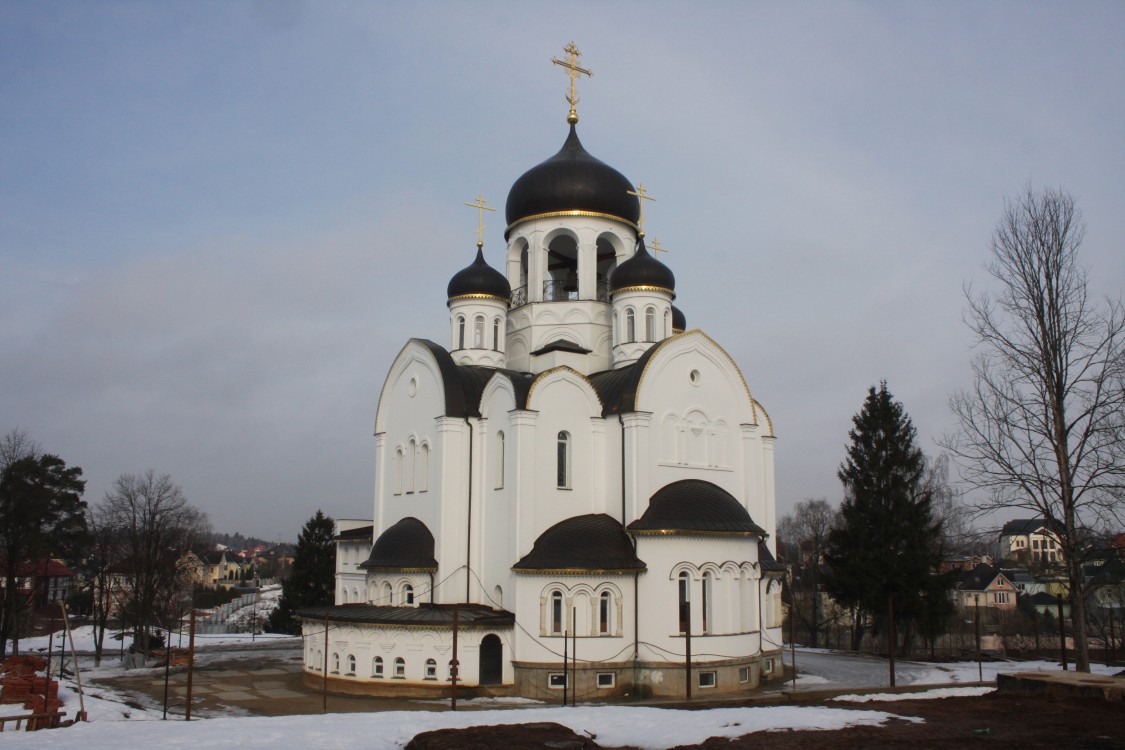 Церковь Воскресения Христова, Воскресенское (Новомосковский административный округ (НАО), г. Москва). фасады