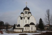 Церковь Воскресения Христова - Воскресенское - Новомосковский административный округ (НАО) - г. Москва