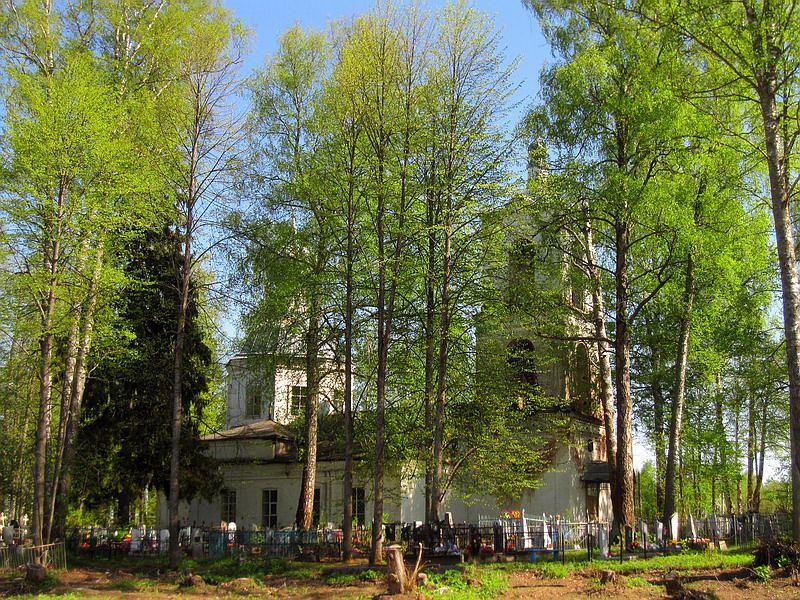 Церковь Троицы Живоначальной, Раздумово (Рыбинский район, Ярославская область). фасады, Раздумово. Церковь Троицы Живоначальной.
