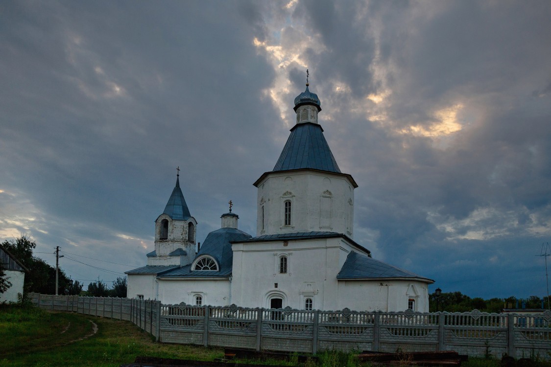 Талица. Церковь Казанской иконы Божией Матери. общий вид в ландшафте