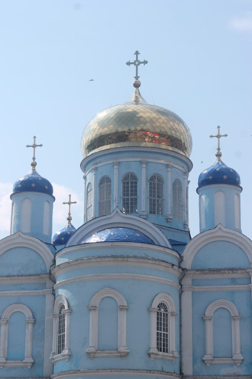 Собор Тихвинской иконы Божией Матери, Данков (Данковский район, Липецкая область). архитектурные детали