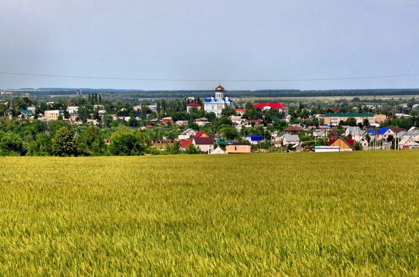 Собор Тихвинской иконы Божией Матери, Данков (Данковский район, Липецкая область). дополнительная информация