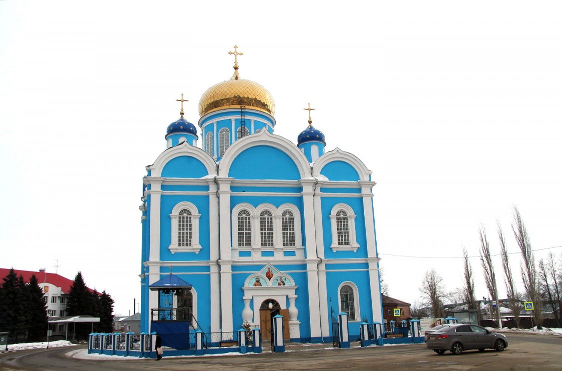 Собор Тихвинской иконы Божией Матери, Данков (Данковский район, Липецкая область). фасады