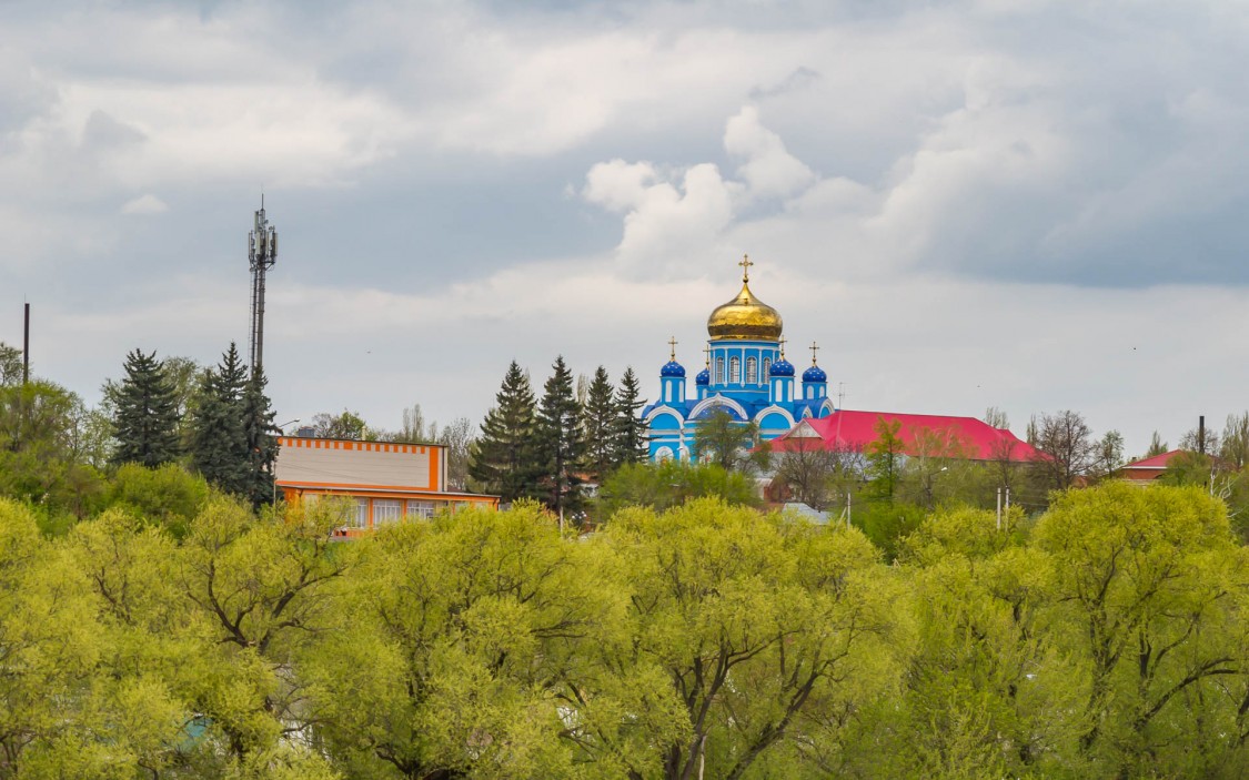 Собор Тихвинской иконы Божией Матери, Данков (Данковский район, Липецкая область). общий вид в ландшафте, Вид в ландшафте с востока, с моста через Дон