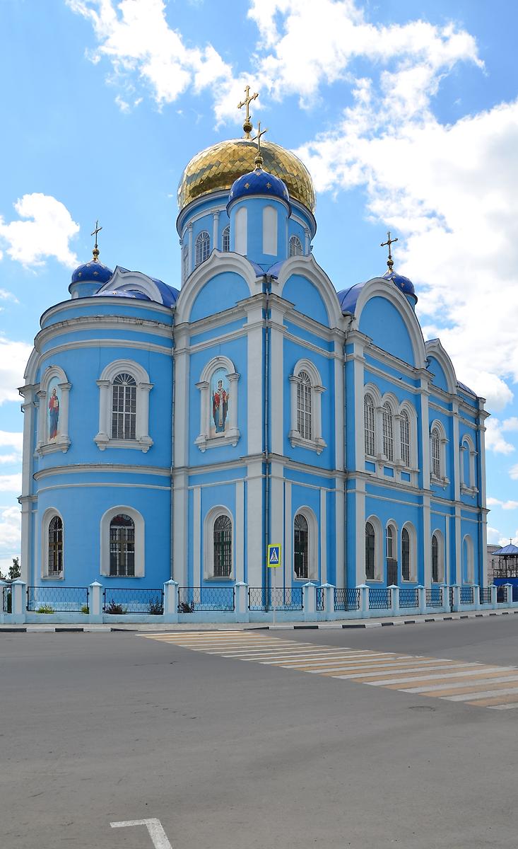 Вид с северо-востока, фасады. Собор Тихвинской иконы Божией Матери, Данков (Данковский район, Липецкая область)