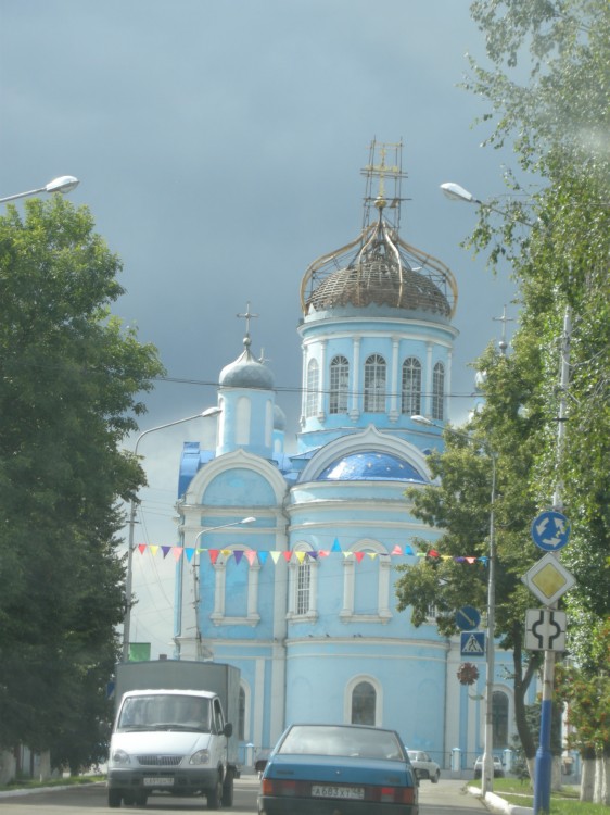 Собор Тихвинской иконы Божией Матери, Данков (Данковский район, Липецкая область). дополнительная информация
