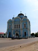 Собор Тихвинской иконы Божией Матери, , Данков, Данковский район, Липецкая область