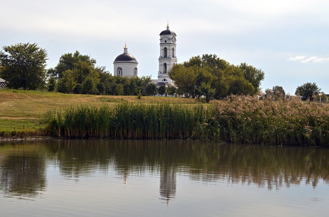 Церковь Михаила Архангела, Скорняково (Задонский район, Липецкая область). общий вид в ландшафте, Вид на храм с Барского пруда