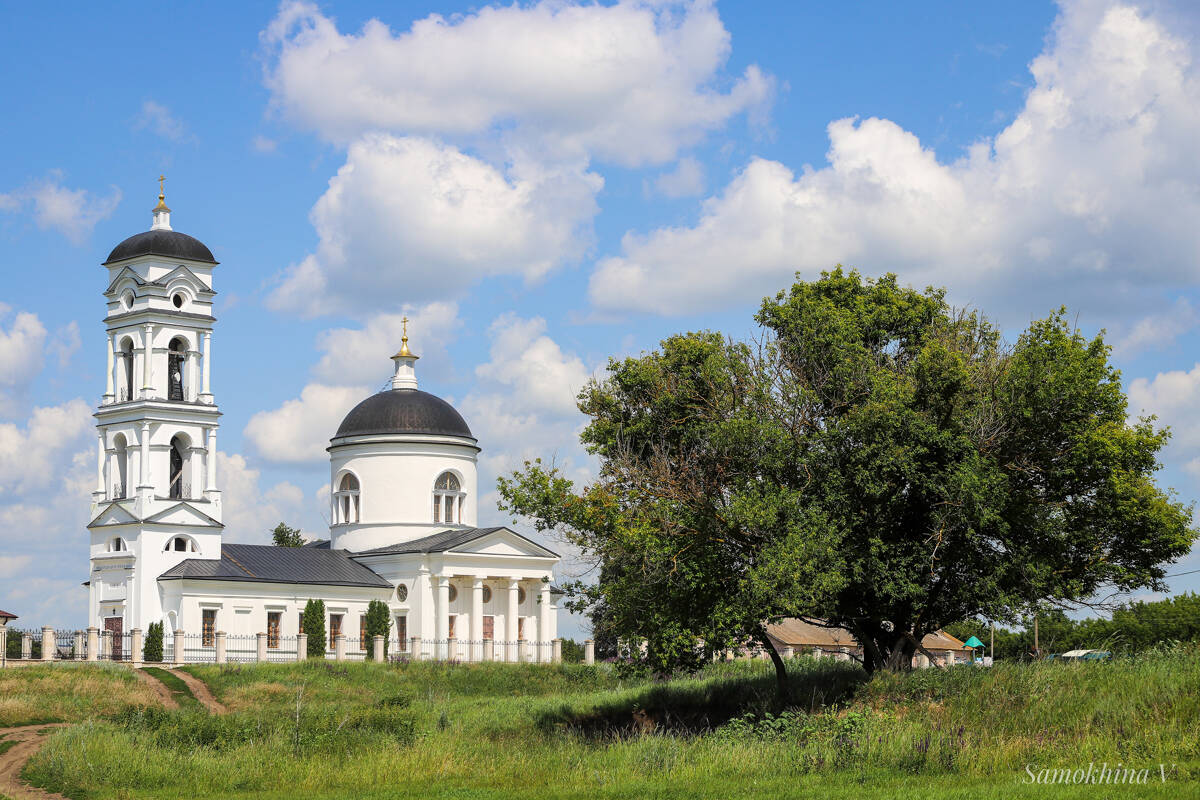 Церковь Михаила Архангела, Скорняково (Задонский район, Липецкая область). общий вид в ландшафте