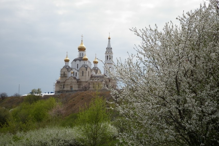 Ростов-на-Дону. Иверский  женский  монастырь. общий вид в ландшафте, На территории обители строится Свято-Троицкий храм