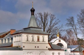 Видное. Екатерининский монастырь. Церковь Тихона, патриарха  Всероссийского