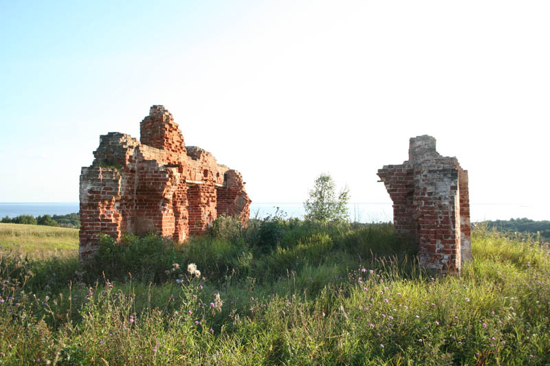 Церковь Бориса и Глеба, Плишкино (Череповецкий район, Вологодская область). общий вид в ландшафте