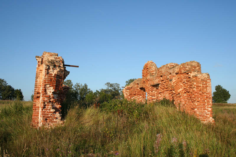 Церковь Бориса и Глеба, Плишкино (Череповецкий район, Вологодская область). общий вид в ландшафте