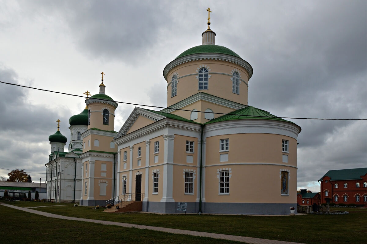 Троекуровский Дмитриевский Иларионовский женский монастырь. Церковь Димитрия Солунского, Троекурово (Лебедянский район, Липецкая область). фасады