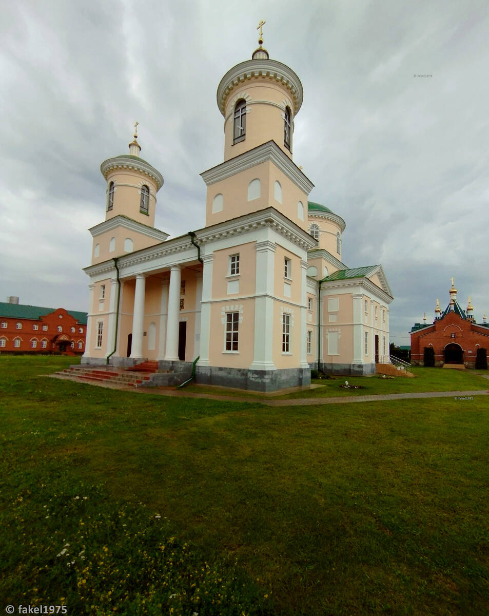 Троекуровский Дмитриевский Иларионовский женский монастырь. Церковь Димитрия Солунского, Троекурово (Лебедянский район, Липецкая область). общий вид в ландшафте