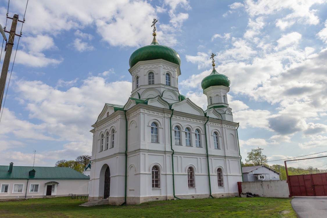 Троекурово. Троекуровский Дмитриевский Иларионовский женский монастырь. Церковь Илии Пророка. фасады, Вид с северо-востока