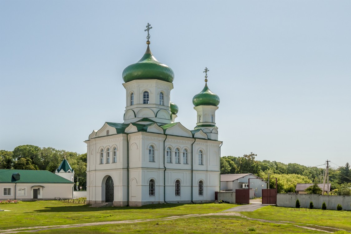 Троекуровский Дмитриевский Иларионовский женский монастырь. Церковь Илии Пророка, Троекурово (Лебедянский район, Липецкая область). общий вид в ландшафте