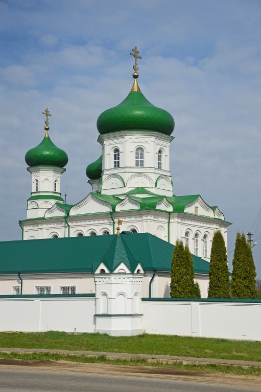 Троекуровский Дмитриевский Иларионовский женский монастырь. Церковь Илии Пророка, Троекурово (Лебедянский район, Липецкая область). фасады