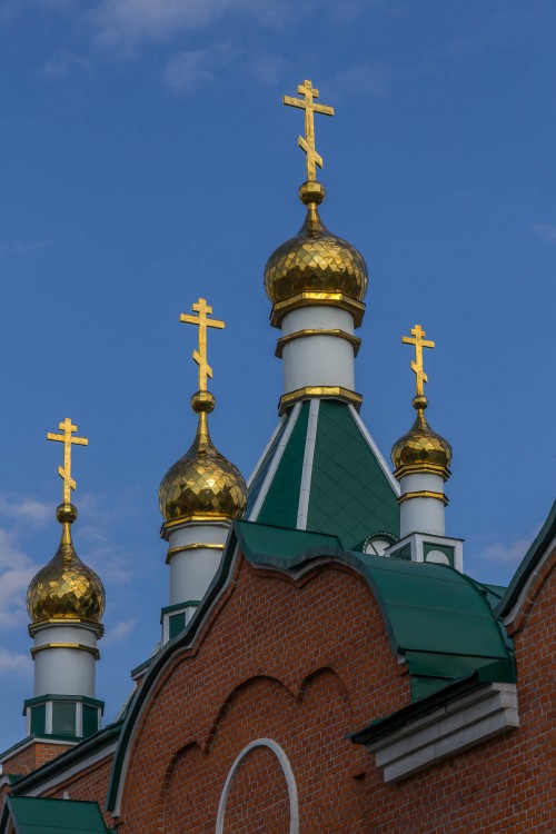 Троекуровский Дмитриевский Иларионовский женский монастырь. Церковь Михаила Архангела, Троекурово (Лебедянский район, Липецкая область). архитектурные детали