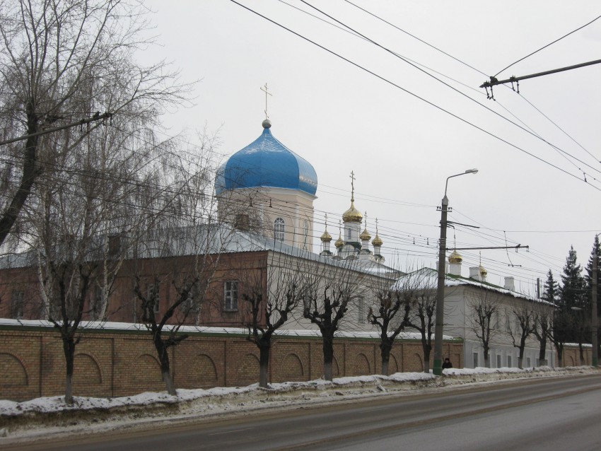 Троицкий женский монастырь, Пенза (Пенза, город, Пензенская область). общий вид в ландшафте
