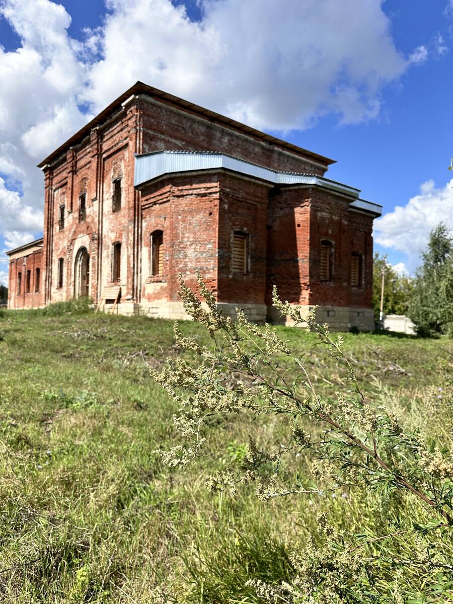 Церковь Троицы Живоначальной, Талица (Елецкий район и г. Елец, Липецкая область). фасады