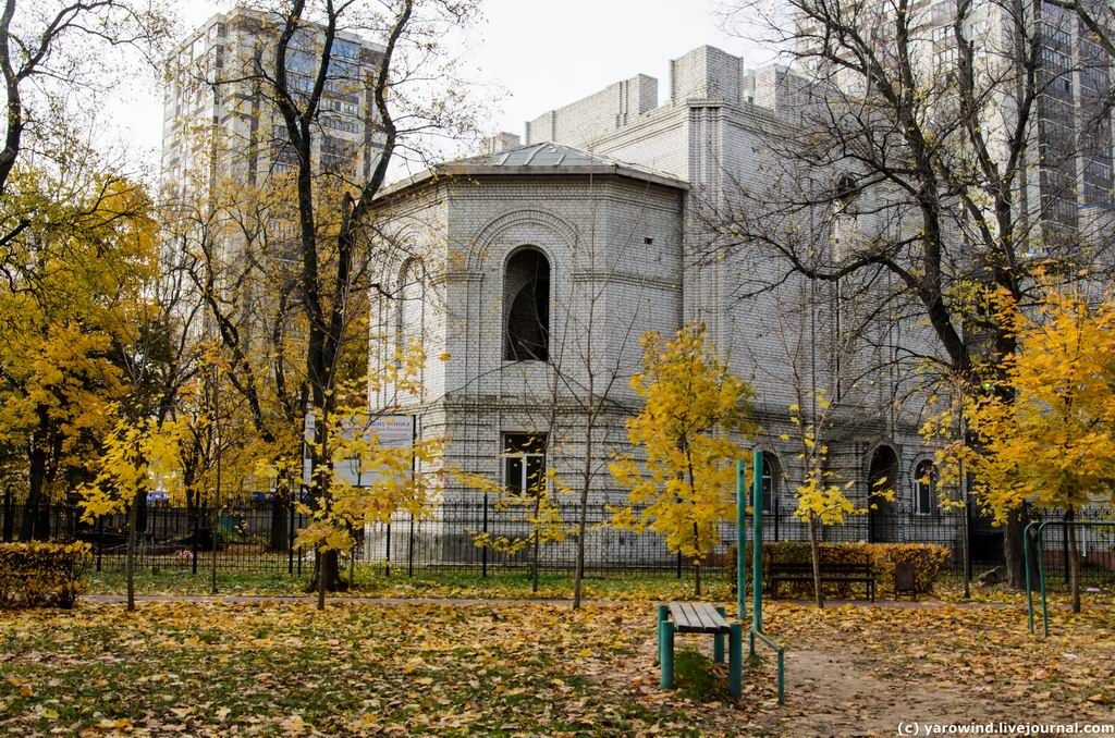 Церковь Димитрия Солунского, Воронеж (Воронеж, город, Воронежская область). документальные фотографии