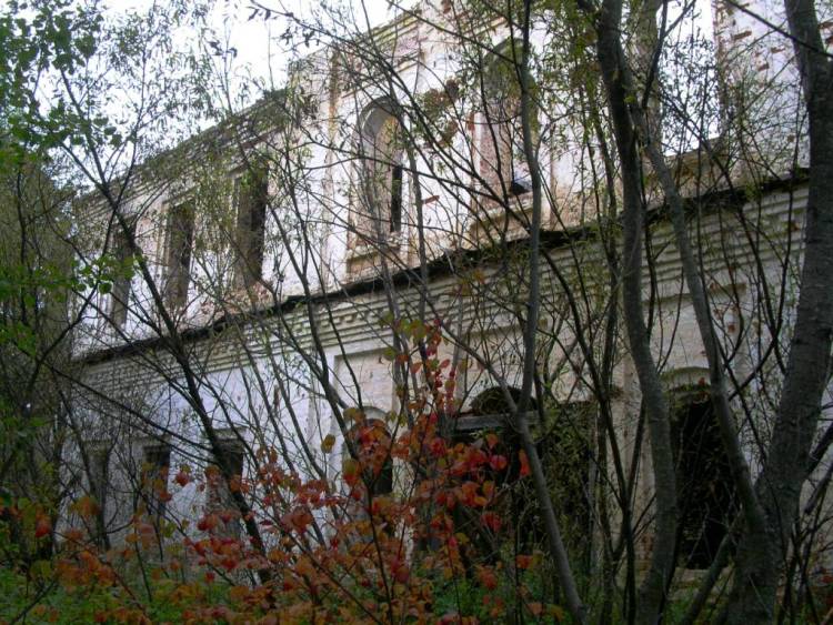 Церковь Воскресения Христова, Ирта (Ленский район, Архангельская область). фасады, фрагмент южного фасада