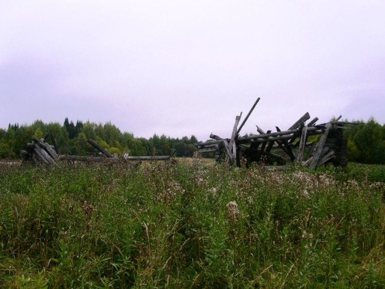 Церковь Рождества Христова, Цылиба (Цилиба), урочище (Ленский район, Архангельская область). дополнительная информация, остатки деревни Цылиба, где стояла деревянная часовня с мощами Димитрия Цилибинского