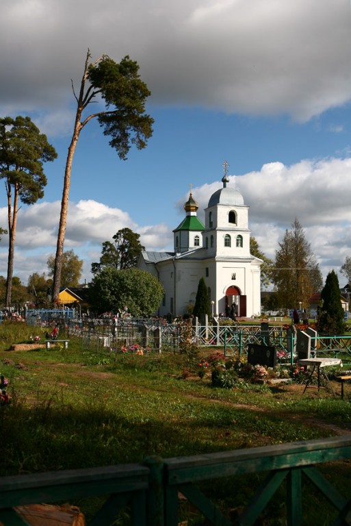 Церковь Евфросинии Полоцкой, Боровка (Верхнедвинский район, Беларусь, Витебская область). фасады, Общий вид с дороги.